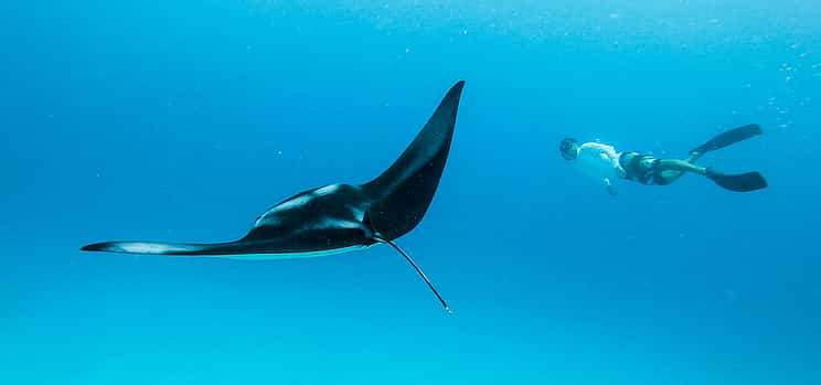 Photo 1 Swim with Manta Rays in Nusa Penida and Nusa Lembongan