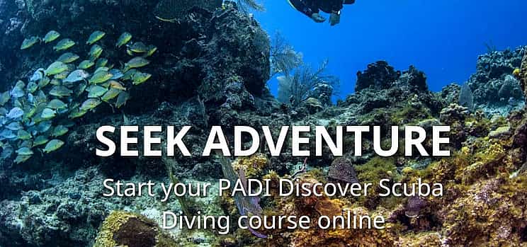 Photo 1 Try Dive Program in the Red Sea