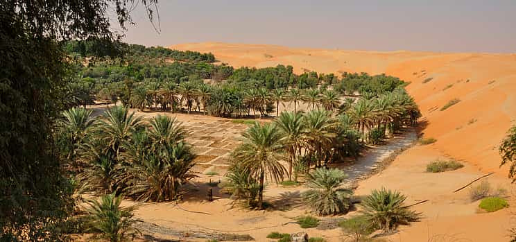 Foto 1 Safari privado de un día por el desierto de Liwa
