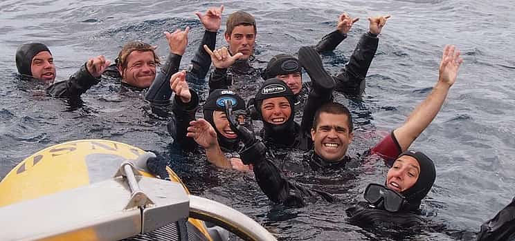 Photo 1 Become a Certified Open Water Diver from Madeira- Your Underwater Adventure Starts Here!