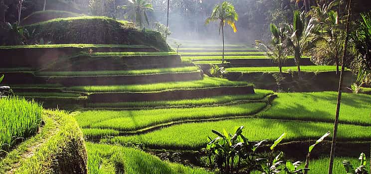 Photo 1 Bali Full-Day Traditional Village Sightseeing Trip All Inclusive