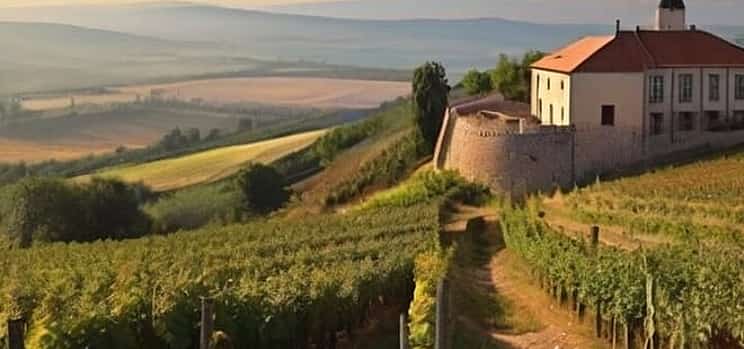 Photo 1 Nice Vinous Day Private Tour from Budapest to Eger and Tokaj