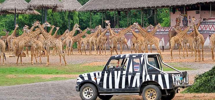 Photo 1 Bangkok: Safari World Tour with Safari Park Ticket