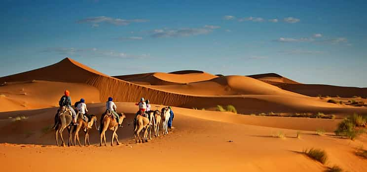 Фото 1 Evening Desert Safari with Quad Bike Ride in Ajman