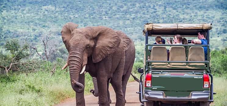 صورة 1 Full Day Exquisite Pilanesberg Safari Tours from Johannesburg