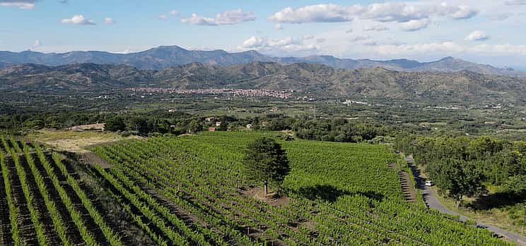 Foto 1 Degustación de vinos de Sicilia