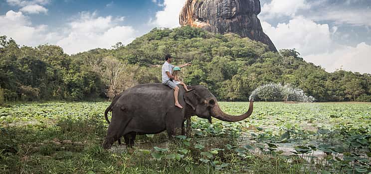 Foto 1 Private Elefanten- und Jeep-Safari zu antiken Tempeln und Kräutergärten