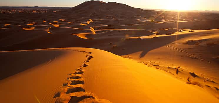 Фото 1 Приключение в песках Вахиба и Вади Бани Халид: Чудеса пустыни