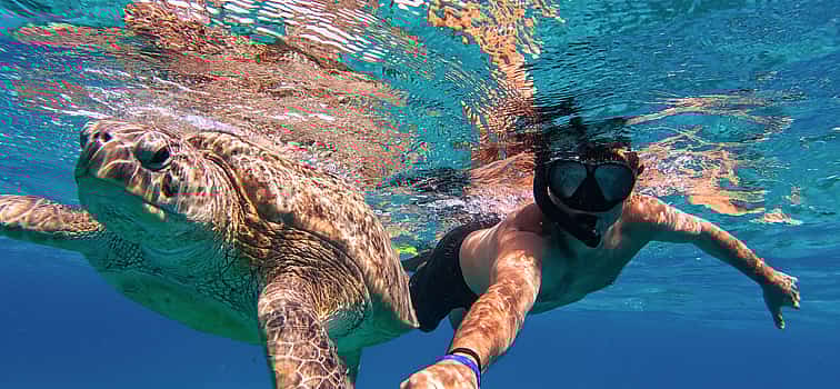 Photo 1 Snorkeling Trip in Sharm el-Sheikh