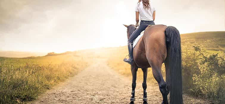 Photo 1 Horse Riding Madeira Tour for Beginners