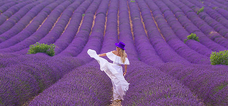 Photo 1 Lavender Fields and Lake Salda from Side.