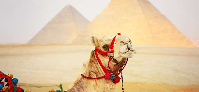 Photo 1 Giza Pyramids with Camel Ride