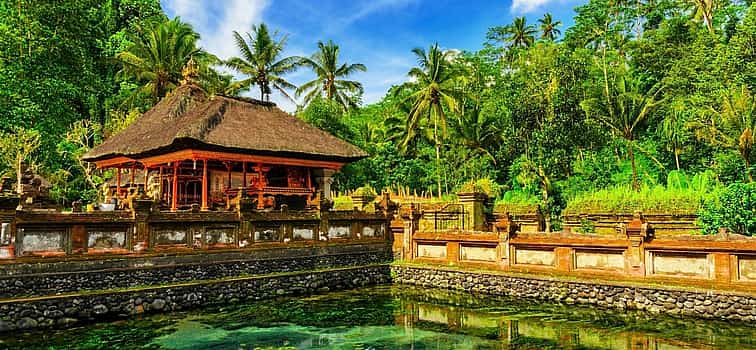 Photo 1 Customizable Private Experience in Bali
