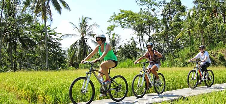 Photo 1 Bali Private Village Bike Tour