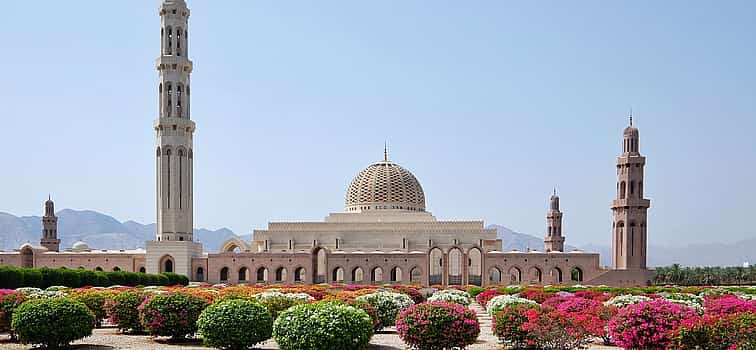 Photo 1 Best of Muscat Private Tour