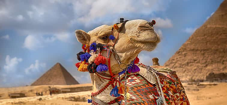 Photo 1 Camel Ride Tour around the Pyramids