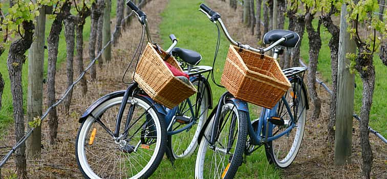 Фото 1 Велосипедный тур по виноградникам в Биниссалеме и дегустация вин
