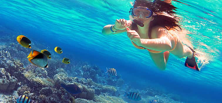Photo 1 Paradise Island Snorkeling Trip from Hurghada