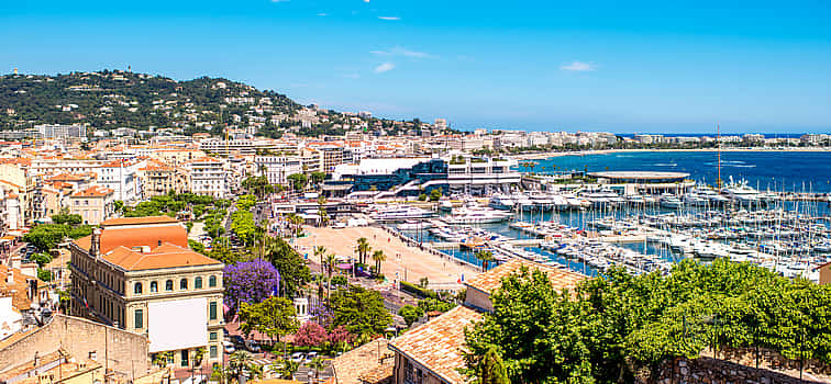 Photo 1 Cannes, Antibes and Saint Paul de Vence Private Half-day Tour
