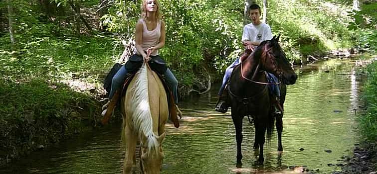 Foto 1 Paseos a caballo en el Parque Nacional de Marmaris