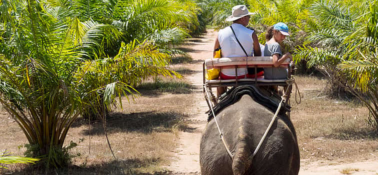 Photo 1 Phuket: Jangle Safari with Bamboo Rafting and Elephant Riding