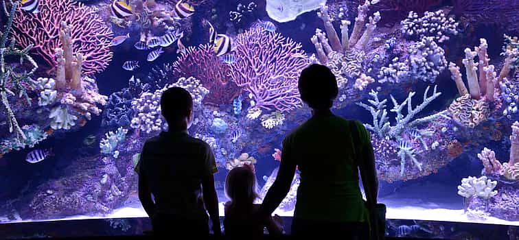 Photo 1 Aquarium Tour from Antalya
