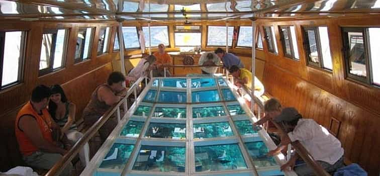 Foto 1 Exploring the Sea in Glass Bottom Boat in Sharm el Sheikh