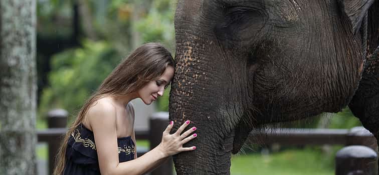 Photo 1 Bali Elephants Safari Park