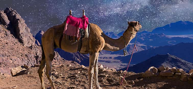 Photo 1 Mount Sinai and Saint Catherine’s Monastery 2-day Tour from Cairo