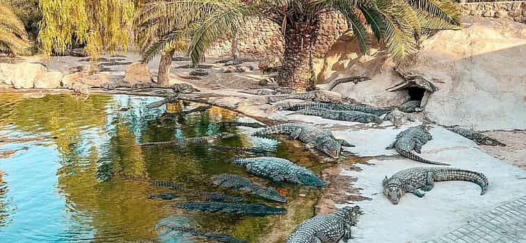 Photo 1 Djerba Explore: A Stunning Journey into Culture and Nature