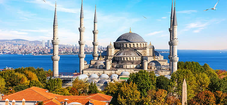 Photo 1 3-day Istanbul E-pass