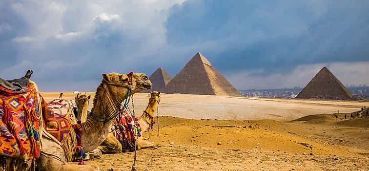Photo 1 Half-day Giza Pyramids Tour with Camel Ride