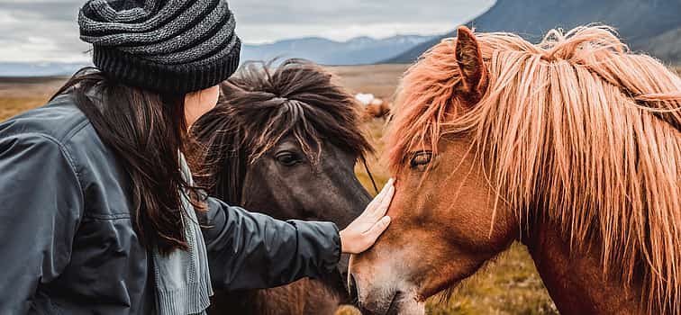 Foto 1 Excursión a caballo de 2 horas desde Mývatn