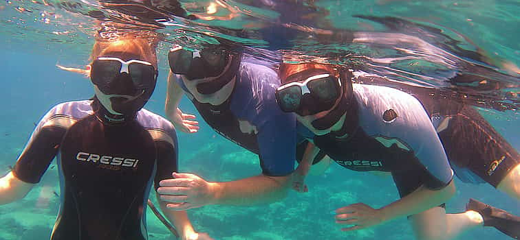 Photo 1 Adventure guided Snorkeling safari trips