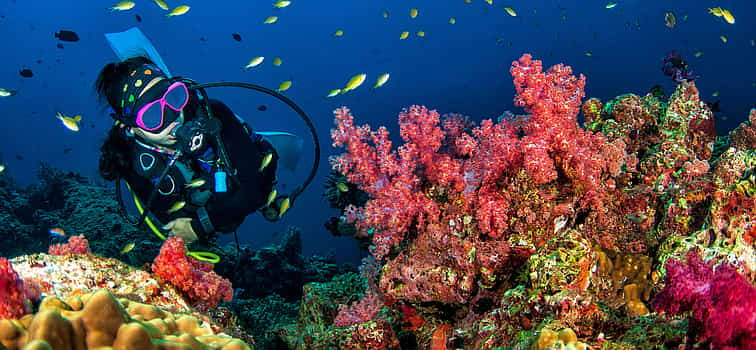 Photo 1 Mauritius Private Diving Cruise