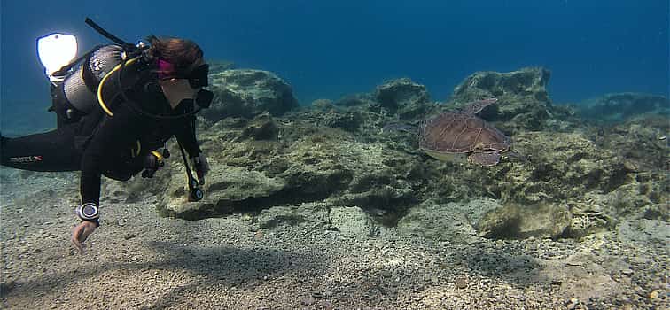 Photo 1 Scuba Diving for Beginners (try dive)