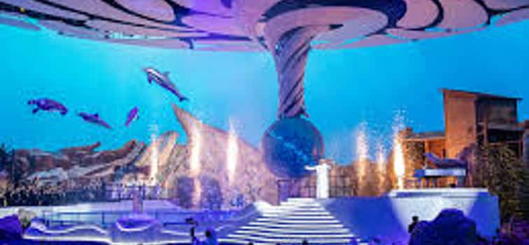 Photo 1 Sea World Abu Dhabi