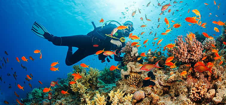 Photo 1 Discover Scuba Diving