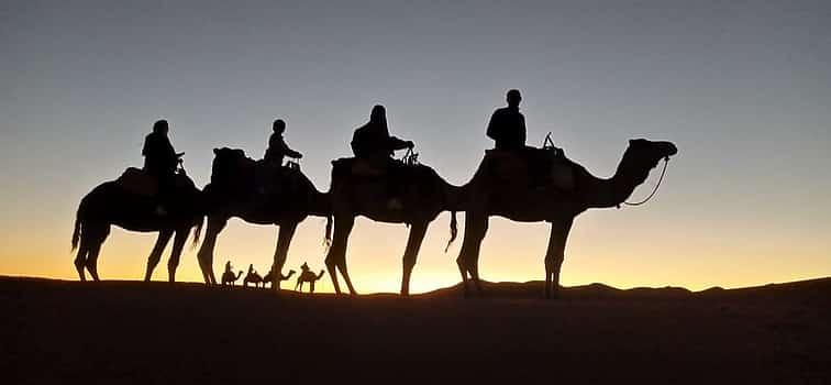 Photo 1 Camel Back Ride in the Moroccan Sahara