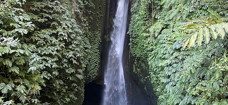 Фото 1 Bali Waterfall Escape: A Private Jungle Experience