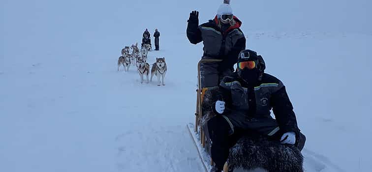 Photo 1 Dog Sledding on Snow