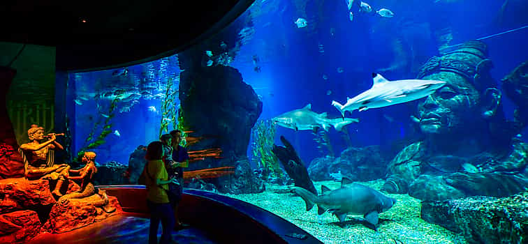 Foto 1 Aquarium-Erlebnis mit Kombiticket-Paket