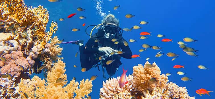 Фото 1 Day Tour on Yacht with 2 Dives with Lunch in Hurghada