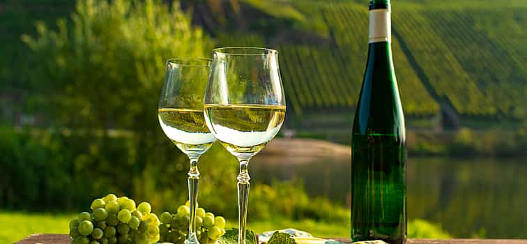 Photo 1 Alsace Wine Tour from Strasbourg