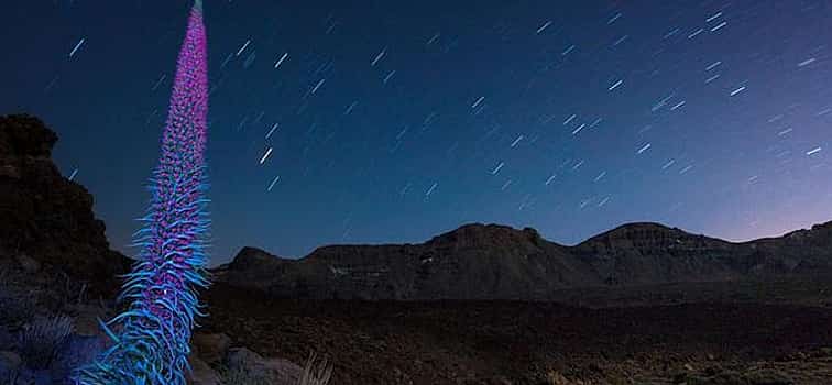 Photo 1 Mount Teide Night Tour: Stargazing with Dinner