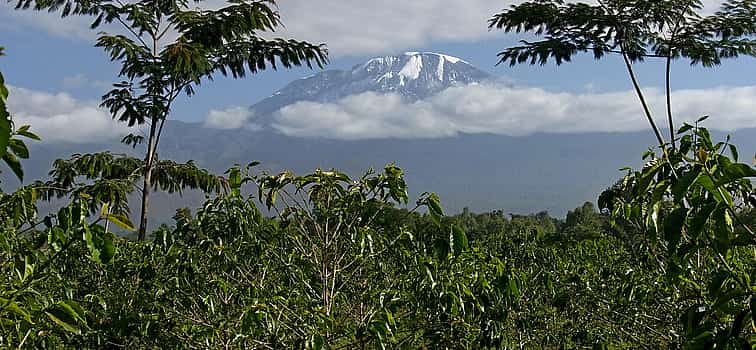 Photo 1 Materuni Village and Waterfall Day Tour
