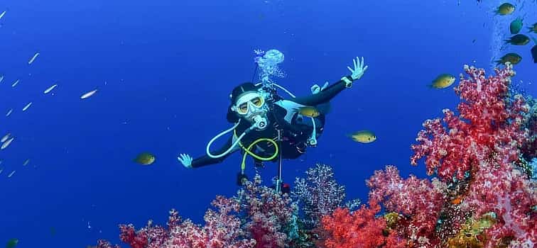 Photo 1 Try Dive Program for Beginners